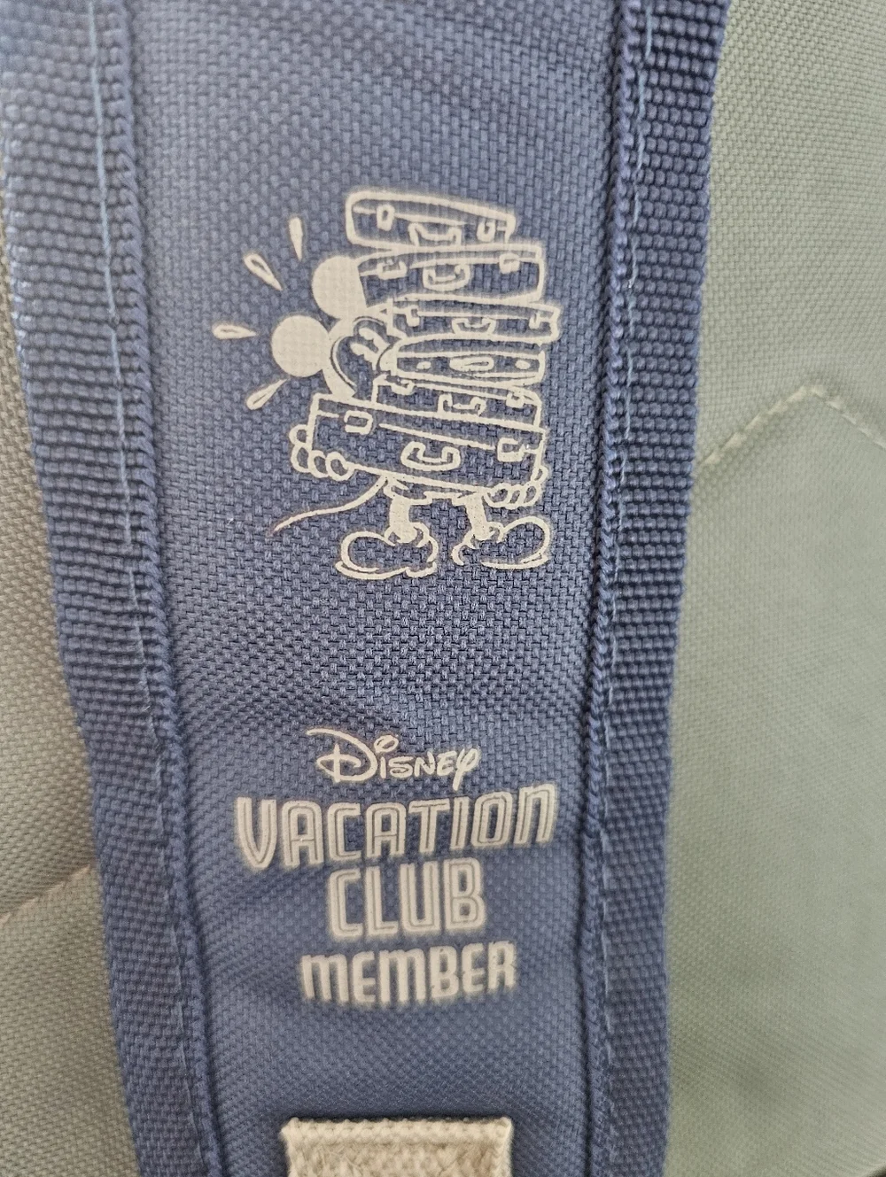 Disney Vacation Club Mickey Backpack Grey Blue Travel Daypack Vacation Bag